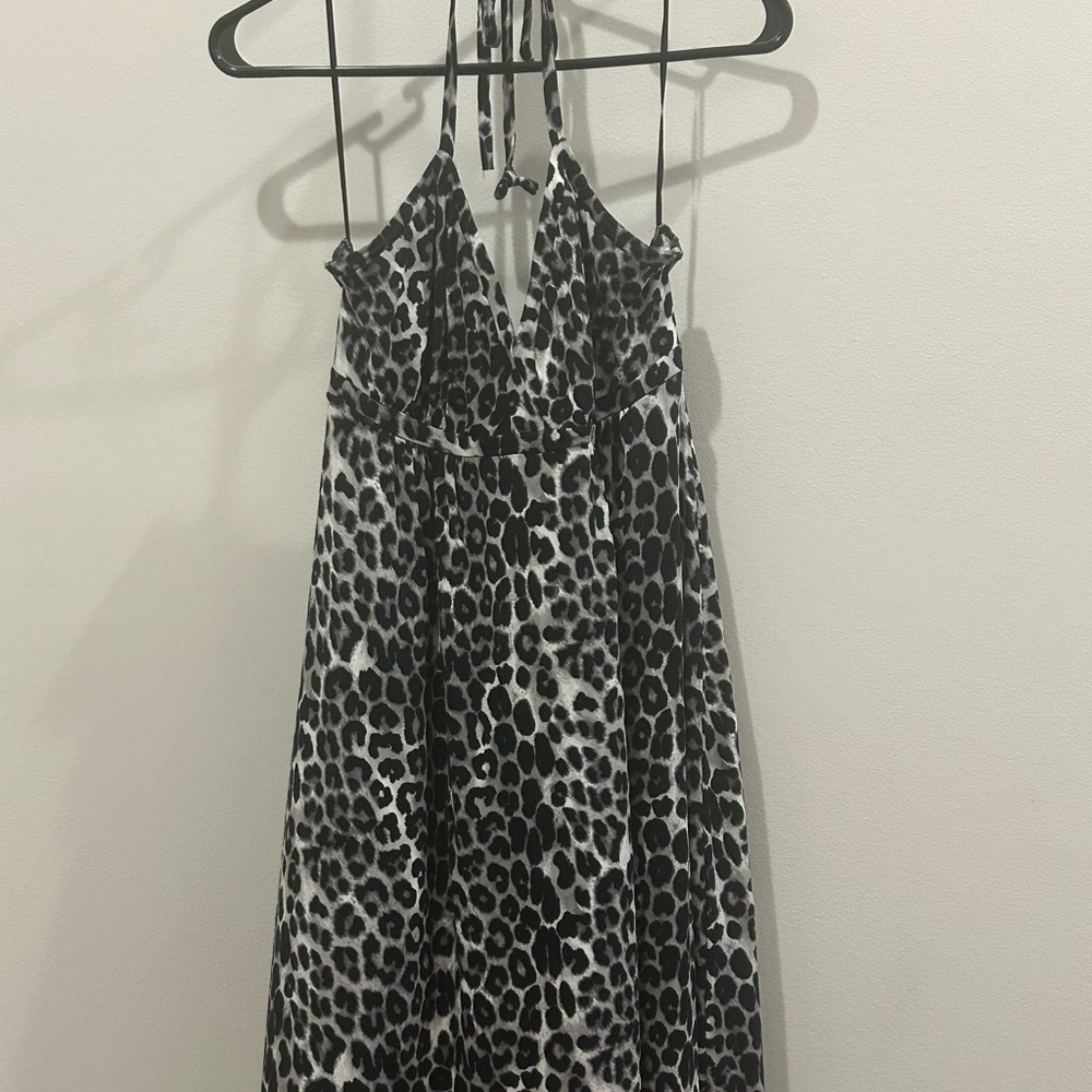 Express Leopard Dress - Picture 2 of 5
